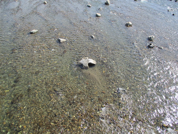 f:id:yonhonda:20210302081637j:plain