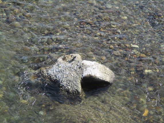 f:id:yonhonda:20210302081712j:plain