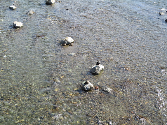 f:id:yonhonda:20210302082129j:plain