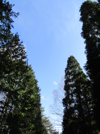 f:id:yonhonda:20210302083028j:plain