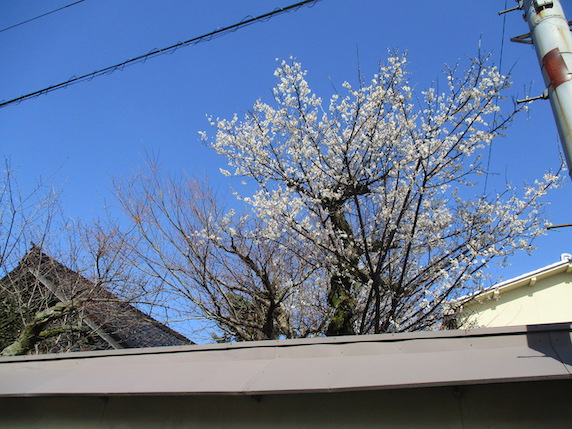f:id:yonhonda:20210312085558j:plain
