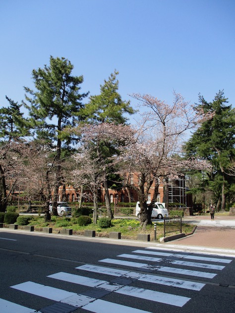 f:id:yonhonda:20210324084824j:plain