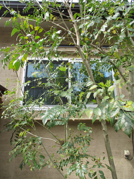 f:id:yonhonda:20210423080846j:plain