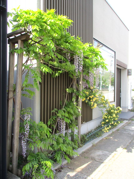 f:id:yonhonda:20210423083926j:plain