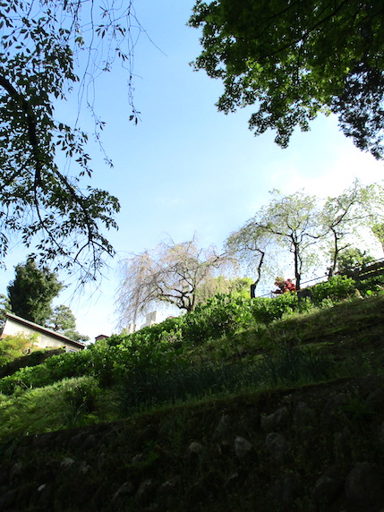 f:id:yonhonda:20210423085141j:plain