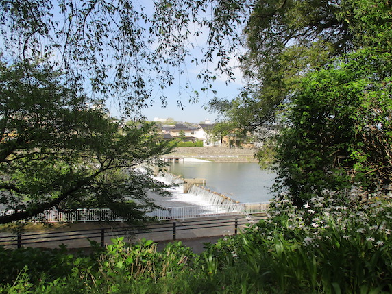 f:id:yonhonda:20210423085242j:plain