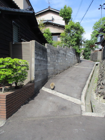 f:id:yonhonda:20210428092316j:plain