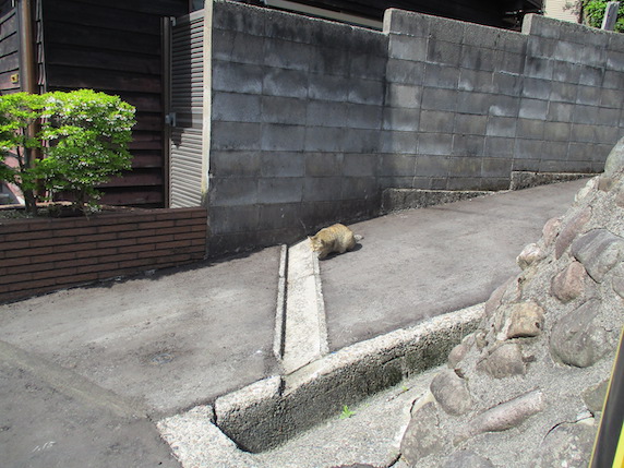 f:id:yonhonda:20210428092346j:plain