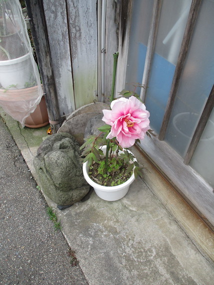 f:id:yonhonda:20210429095514j:plain