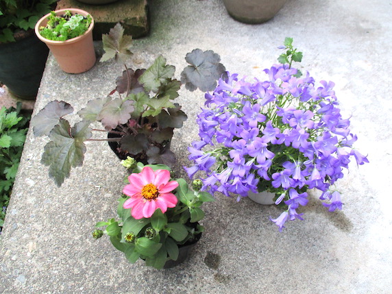 f:id:yonhonda:20210507085840j:plain