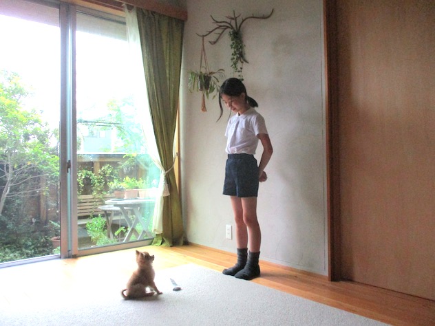 f:id:yonhonda:20210617083116j:plain
