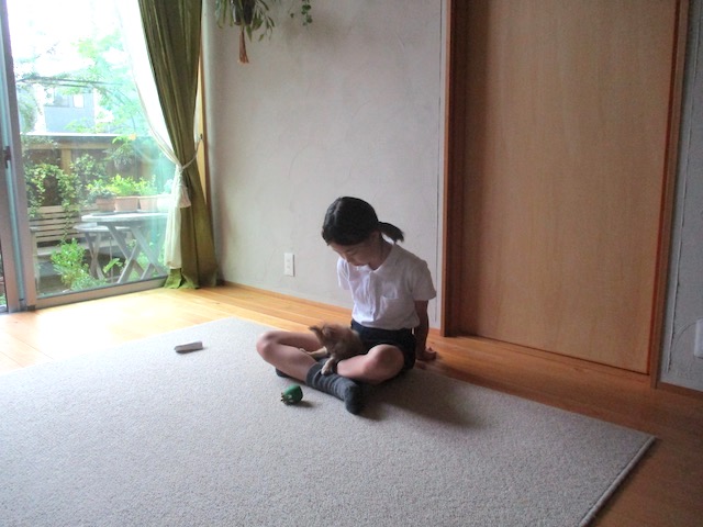 f:id:yonhonda:20210617091309j:plain