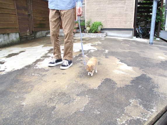 f:id:yonhonda:20210620085142j:plain