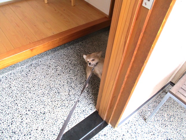 f:id:yonhonda:20210703093626j:plain