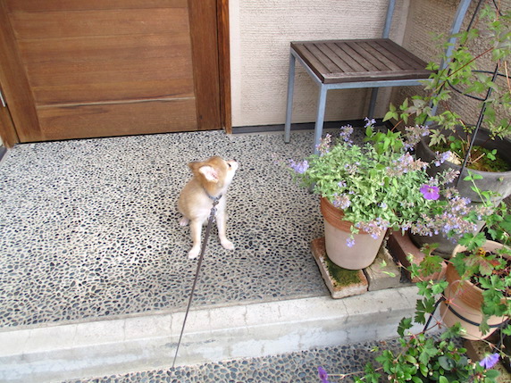 f:id:yonhonda:20210703094159j:plain