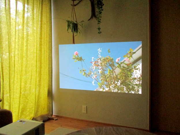 私は 私で、ひとり行くよ days