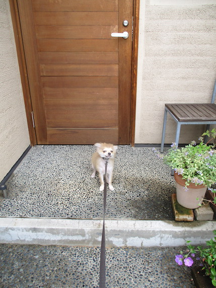 f:id:yonhonda:20210710104823j:plain