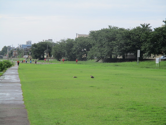 f:id:yonhonda:20210710105654j:plain