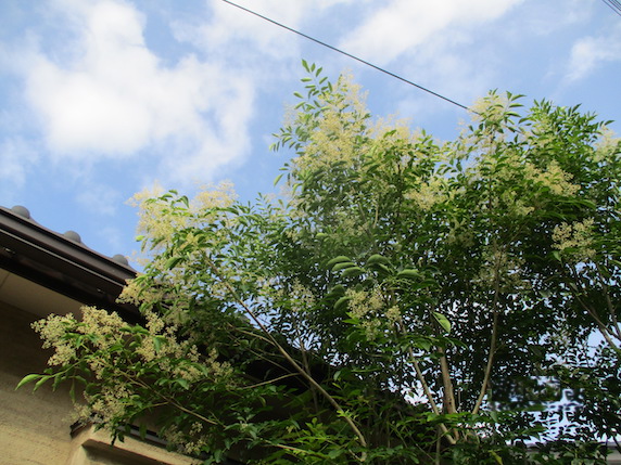 f:id:yonhonda:20210714110521j:plain