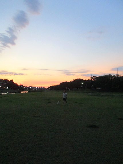 f:id:yonhonda:20210721081854j:plain