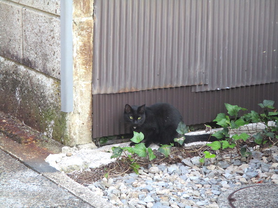 f:id:yonhonda:20210926081512j:plain