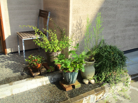 f:id:yonhonda:20210926082543j:plain