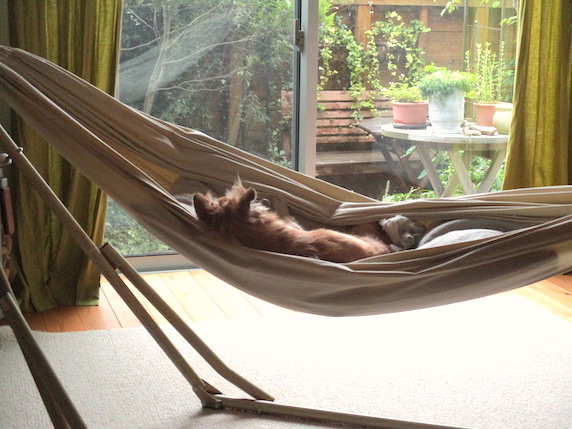 f:id:yonhonda:20211018092330j:plain