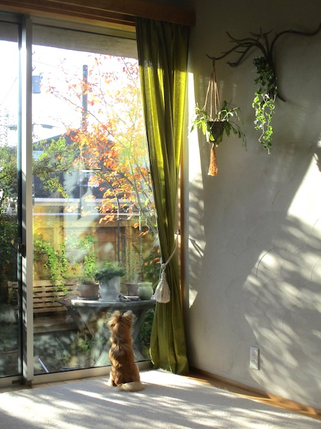 f:id:yonhonda:20211106082834j:plain