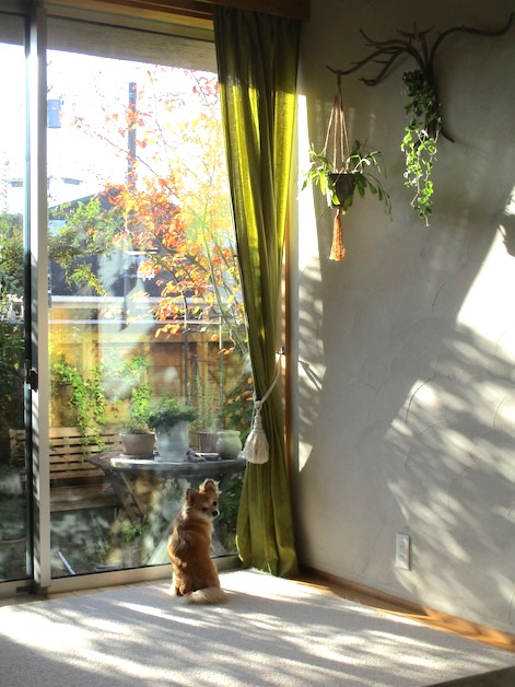 f:id:yonhonda:20211106082908j:plain