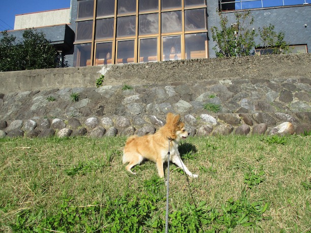 f:id:yonhonda:20211106085053j:plain