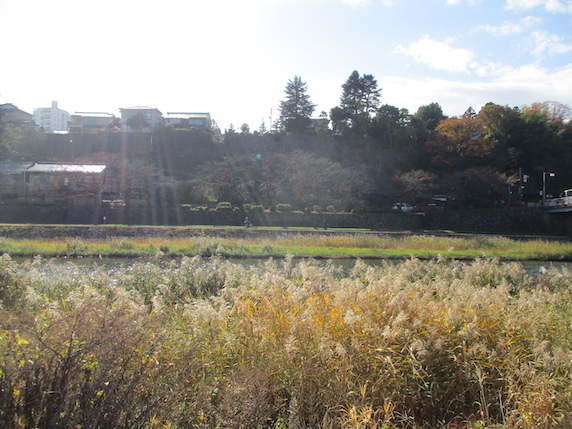 f:id:yonhonda:20211118092928j:plain