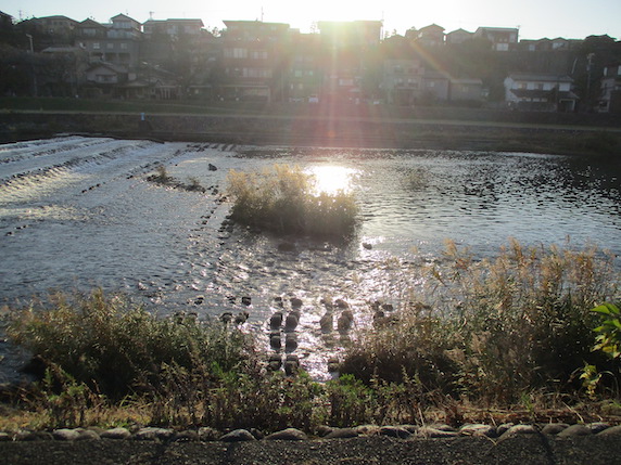 f:id:yonhonda:20211119084305j:plain