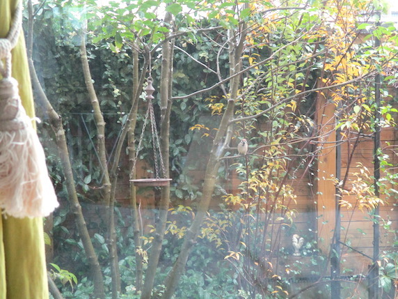 f:id:yonhonda:20211208090513j:plain