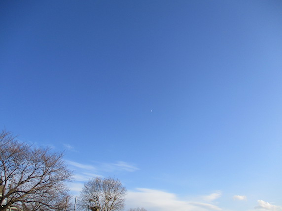 f:id:yonhonda:20211211091820j:plain