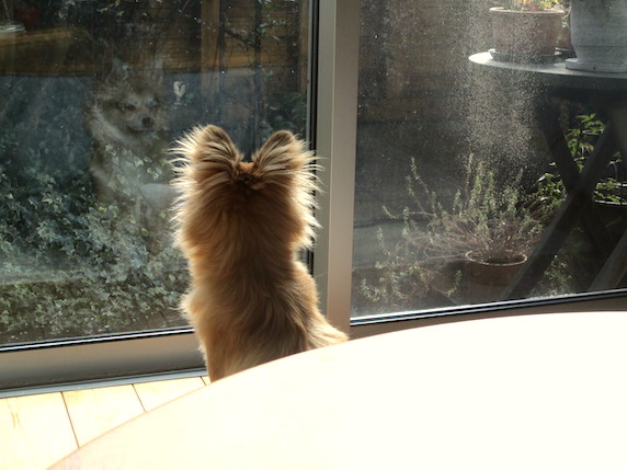 f:id:yonhonda:20211221093553j:plain