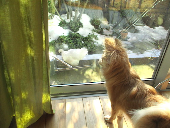 f:id:yonhonda:20220104101159j:plain