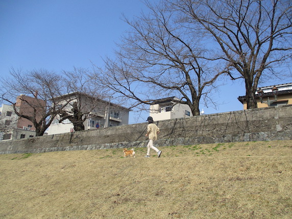 f:id:yonhonda:20220313103550j:plain