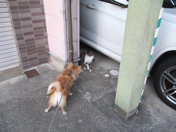 f:id:yonhonda:20220323100800j:plain