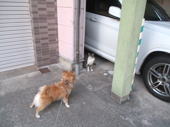 f:id:yonhonda:20220323100903j:plain