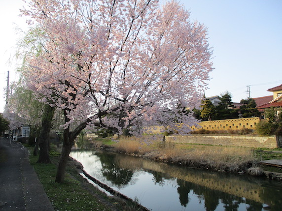 f:id:yonhonda:20220403100228j:plain