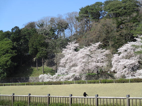 f:id:yonhonda:20220406090256j:plain