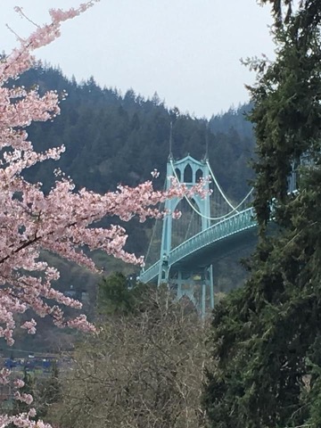 f:id:yonhonda:20220406091540j:plain