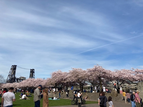 f:id:yonhonda:20220406091619j:plain