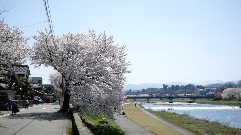 f:id:yonhonda:20220409085654p:plain
