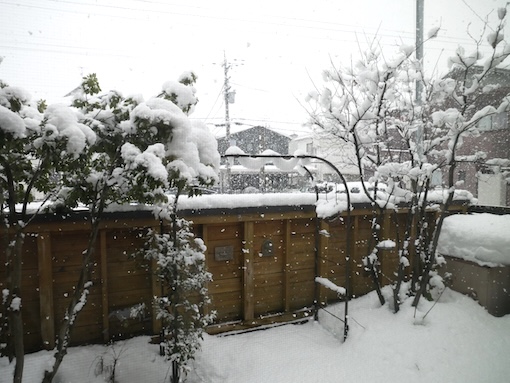 桃井断捨離 断捨離で モノを減らして、自分のやりたかったことに ようやく気づけ