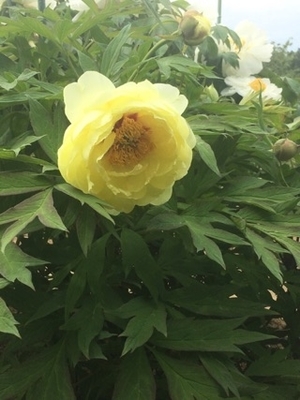 f:id:yonitipowerspot:20190917215204j:plain