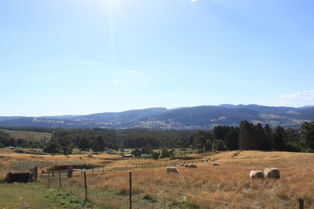 f:id:yonksy:20170118000255j:plain f:id:yonksy:20170118000255j:plain