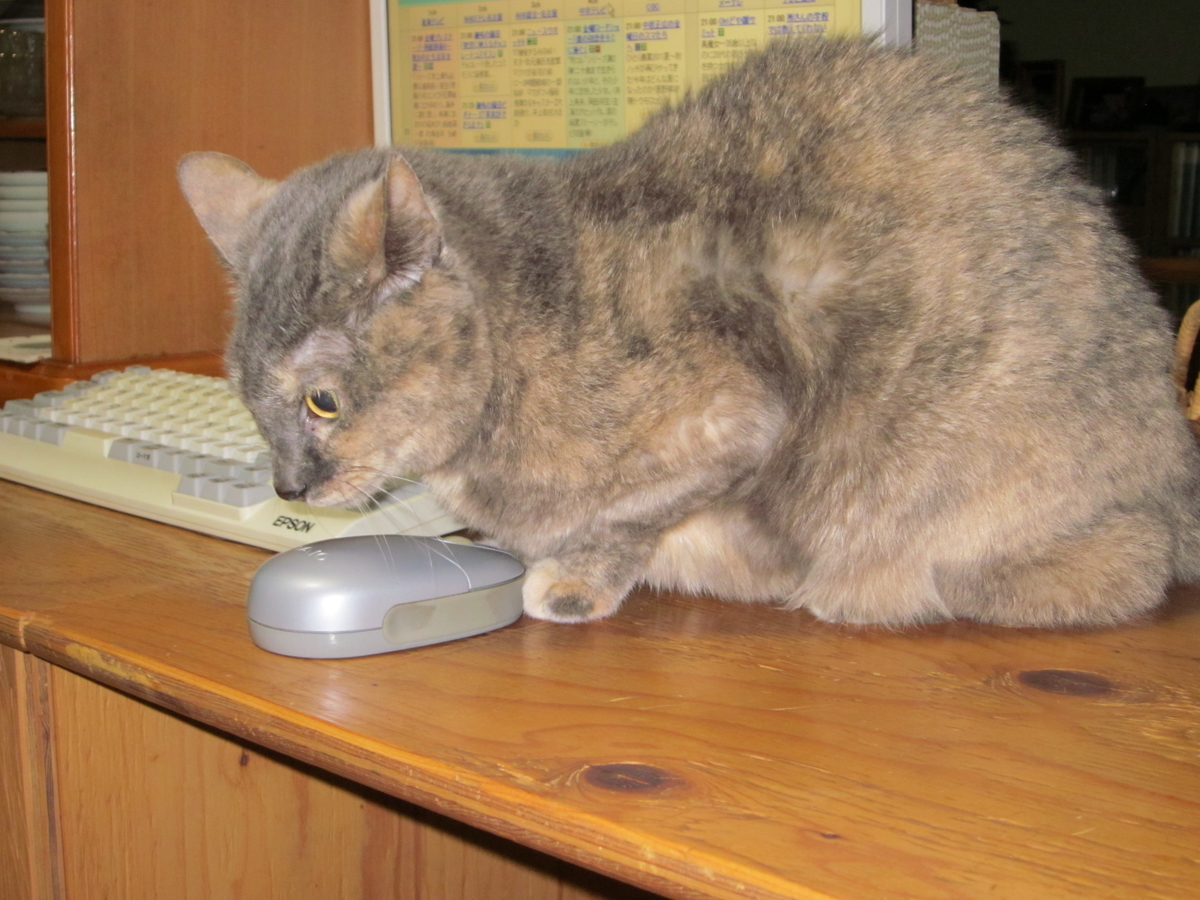 f:id:yonnbaba:20111021231257j:plain f:id:yonnbaba:20111021231257j:plain