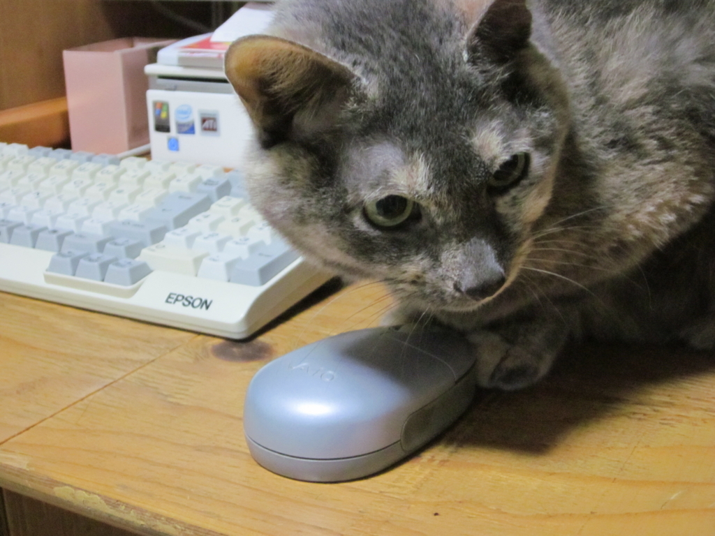 f:id:yonnbaba:20111021231339j:plain f:id:yonnbaba:20111021231339j:plain