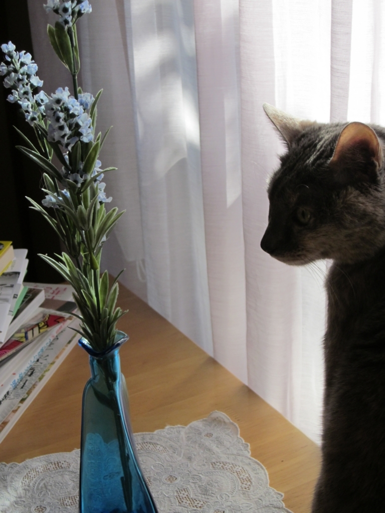 f:id:yonnbaba:20111225121548j:plain